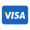 icons8-visa-100